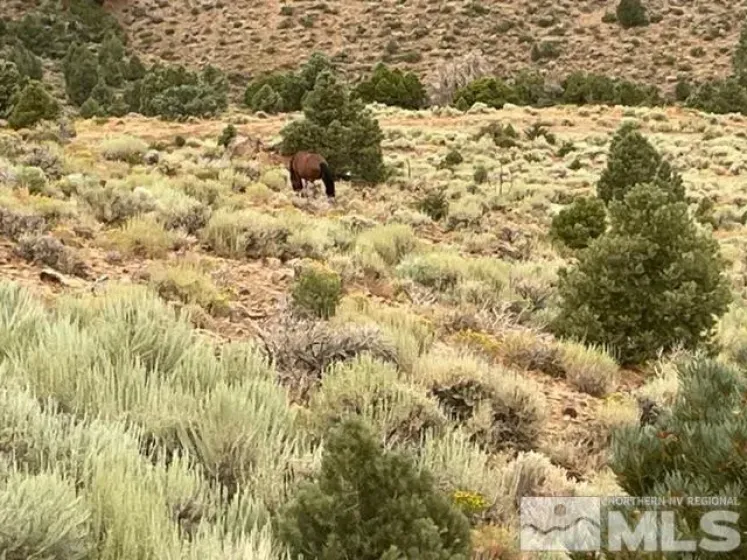 00 Western Skies, Reno, Nevada 89521, ,Land,Residential,Western Skies,250004734