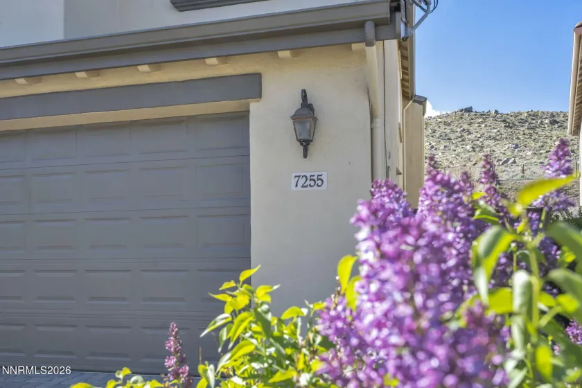 7255 Provence, Reno, Nevada 89523, 5 Bedrooms Bedrooms, ,3 BathroomsBathrooms,Residential,Residential,Provence,260003937