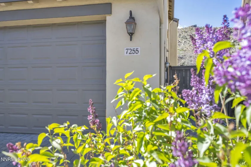 7255 Provence, Reno, Nevada 89523, 5 Bedrooms Bedrooms, ,3 BathroomsBathrooms,Residential,Residential,Provence,260003937