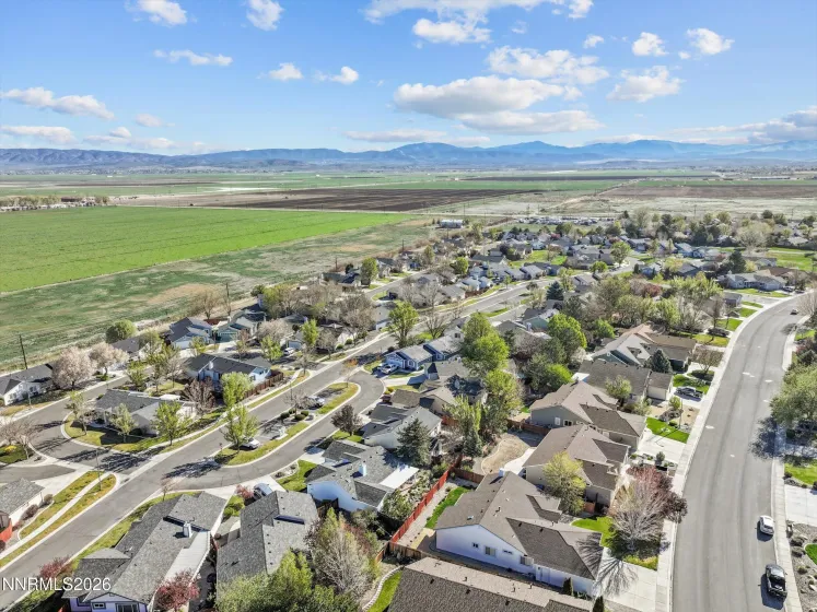 1089 Conifer, Minden, Nevada 89423, 3 Bedrooms Bedrooms, ,2 BathroomsBathrooms,Residential,Residential,Conifer,260003946