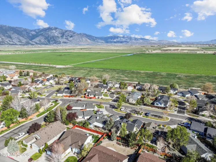 1089 Conifer, Minden, Nevada 89423, 3 Bedrooms Bedrooms, ,2 BathroomsBathrooms,Residential,Residential,Conifer,260003946