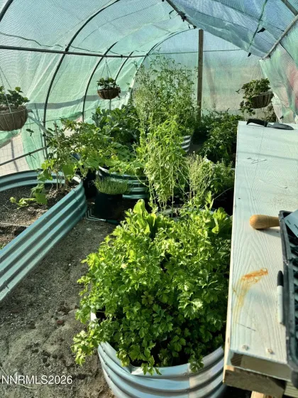 5 Rhoda, Yerington, Nevada 89447, 3 Bedrooms Bedrooms, ,2 BathroomsBathrooms,Residential,Residential,Rhoda,260004012