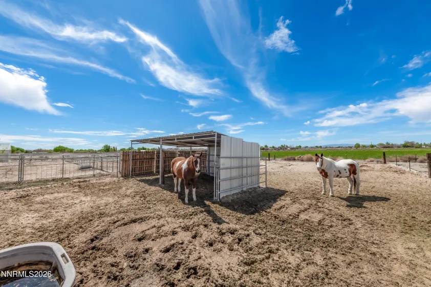 1241 Sky Ridge, Fallon, Nevada 89406, 3 Bedrooms Bedrooms, ,2 BathroomsBathrooms,Residential,Residential,Sky Ridge,260004078