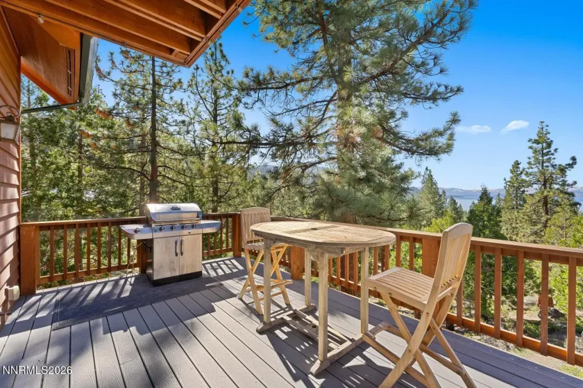 38 Point, Glenbrook, Nevada 89413, 4 Bedrooms Bedrooms, ,6 BathroomsBathrooms,Residential,Residential,Point,260004080