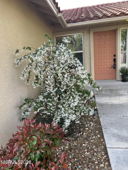 207 La Costa, Dayton, Nevada 89403, 3 Bedrooms Bedrooms, ,2 BathroomsBathrooms,Residential,Residential,La Costa,260002791