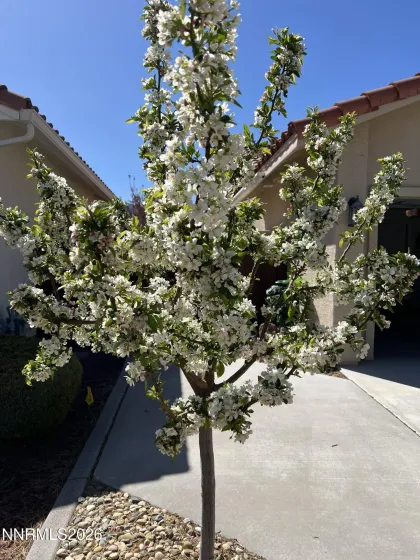 207 La Costa, Dayton, Nevada 89403, 3 Bedrooms Bedrooms, ,2 BathroomsBathrooms,Residential,Residential,La Costa,260002791