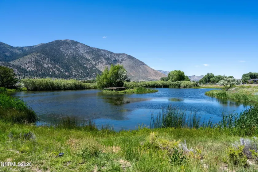 380 Genoa, Minden, Nevada 89423, 6 Bedrooms Bedrooms, ,6 BathroomsBathrooms,Residential,Residential,Genoa,260004134