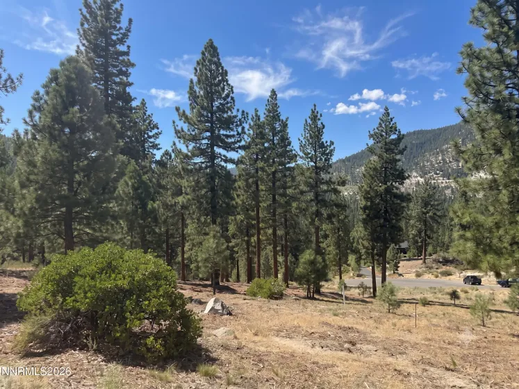 160 Walton Toll, Carson City, Nevada 89705, ,Land,Residential,Walton Toll,0,260004096