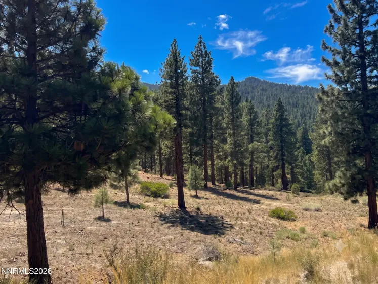 160 Walton Toll, Carson City, Nevada 89705, ,Land,Residential,Walton Toll,0,260004096