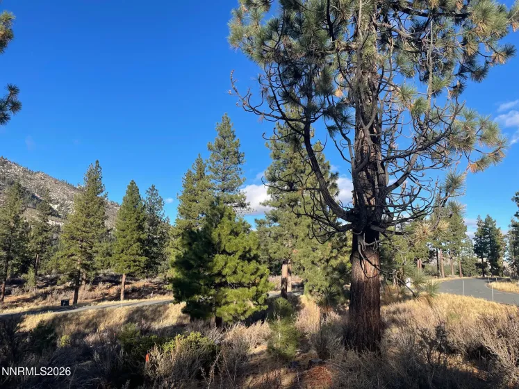 160 Walton Toll, Carson City, Nevada 89705, ,Land,Residential,Walton Toll,0,260004096