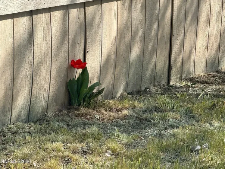 7075 Stratus, Winnemucca, Nevada 89445, 2 Bedrooms Bedrooms, ,2 BathroomsBathrooms,Residential,Residential,Stratus,260004173