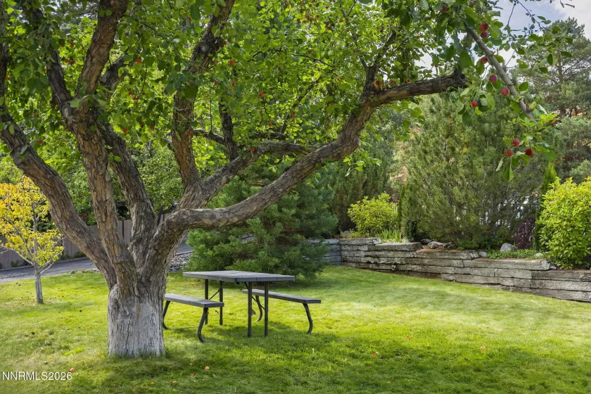 2070 Driscoll, Reno, Nevada 89509, 3 Bedrooms Bedrooms, ,3 BathroomsBathrooms,Residential,Residential,Driscoll,260004180