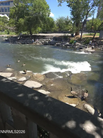 280 Island, Reno, Nevada 89501, 2 Bedrooms Bedrooms, ,2 BathroomsBathrooms,Residential,Residential,Island,0,260004189