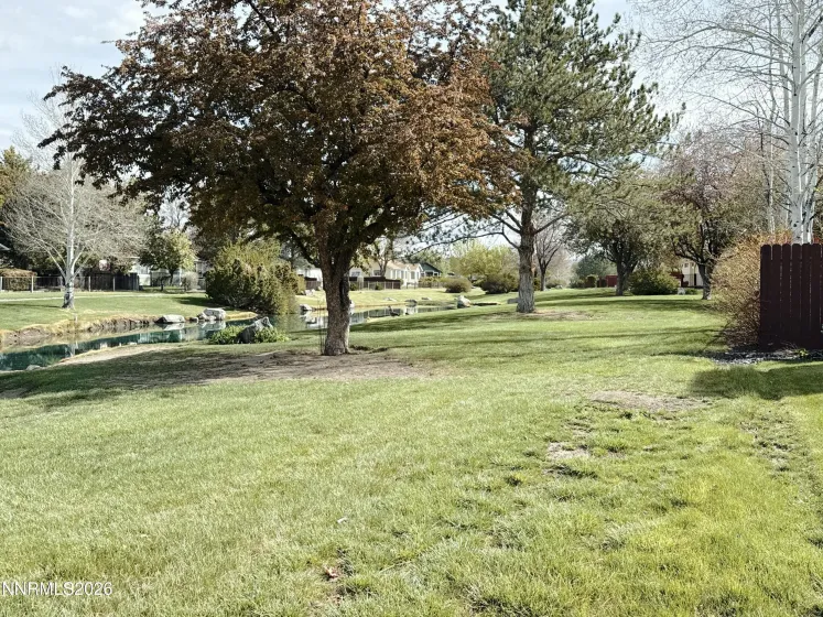 1729 Lantana, Minden, Nevada 89423, 4 Bedrooms Bedrooms, ,2 BathroomsBathrooms,Residential,Residential,Lantana,260004192