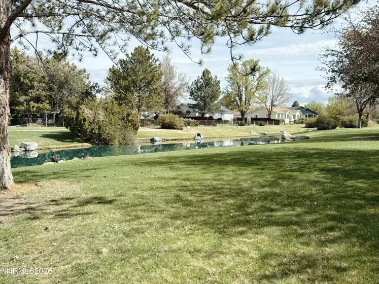 1729 Lantana, Minden, Nevada 89423, 4 Bedrooms Bedrooms, ,2 BathroomsBathrooms,Residential,Residential,Lantana,260004192