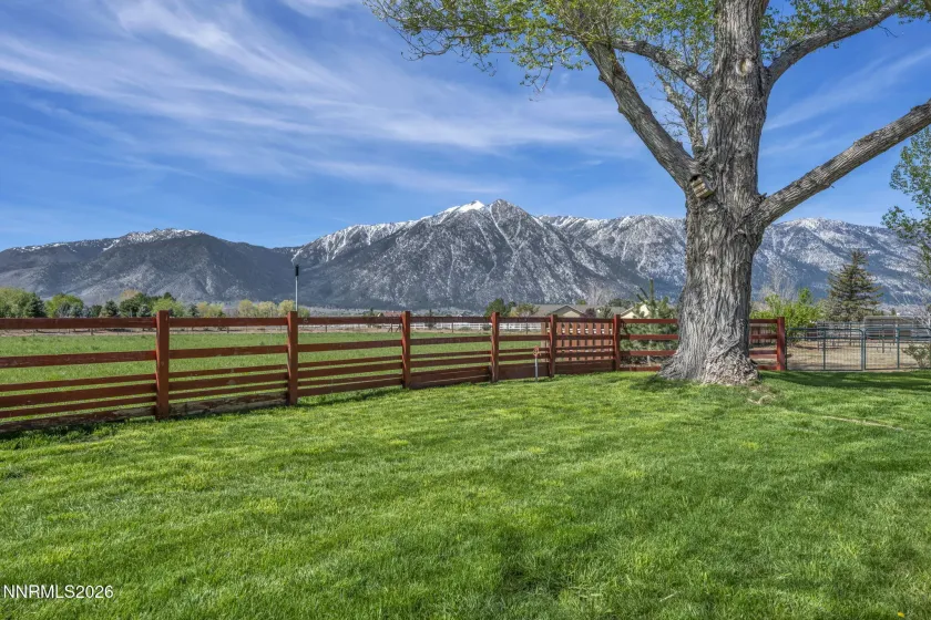 1097 Meadowlark, Gardnerville, Nevada 89460, 4 Bedrooms Bedrooms, ,3 BathroomsBathrooms,Residential,Residential,Meadowlark,260004226