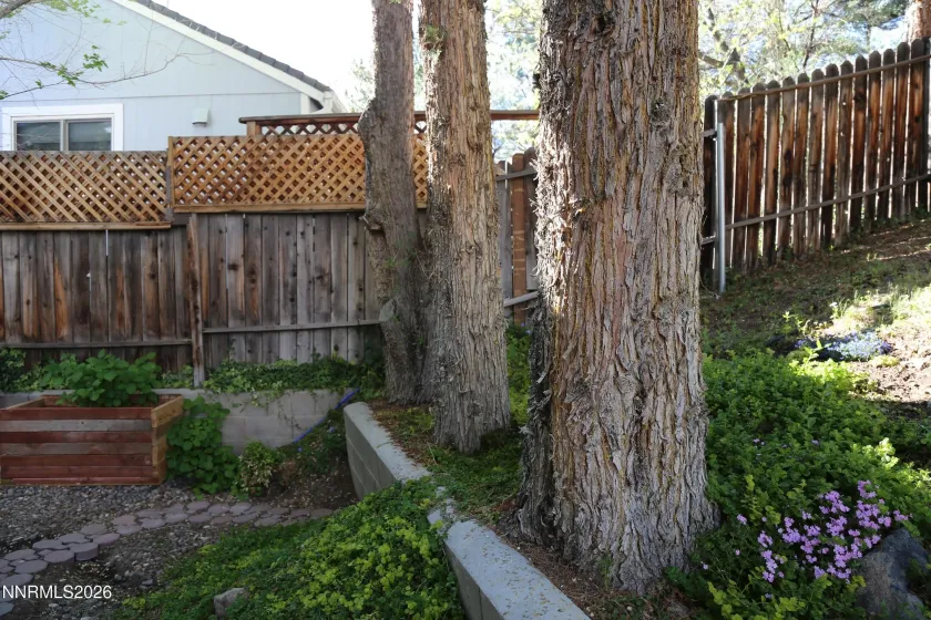 3815 Kings Row, Reno, Nevada 89503, 3 Bedrooms Bedrooms, ,3 BathroomsBathrooms,Residential,Residential,Kings Row,260004231