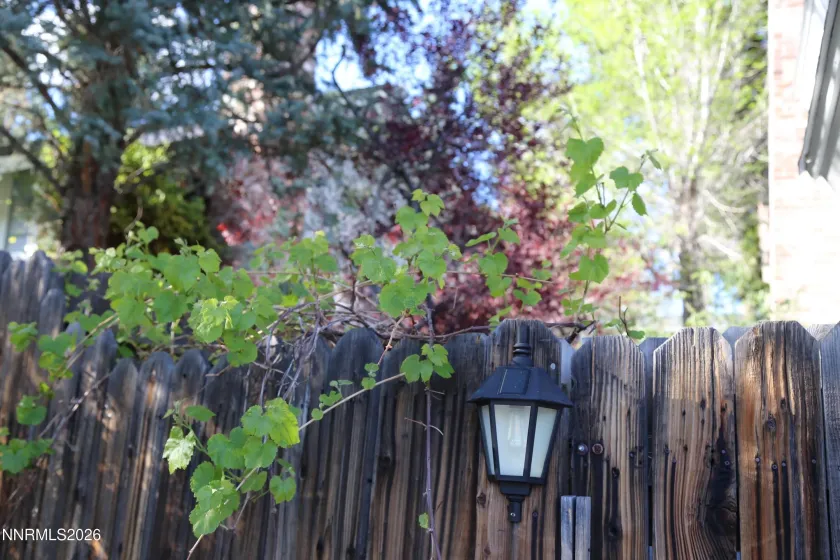 3815 Kings Row, Reno, Nevada 89503, 3 Bedrooms Bedrooms, ,3 BathroomsBathrooms,Residential,Residential,Kings Row,260004231