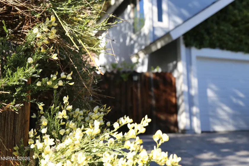 3815 Kings Row, Reno, Nevada 89503, 3 Bedrooms Bedrooms, ,3 BathroomsBathrooms,Residential,Residential,Kings Row,260004231