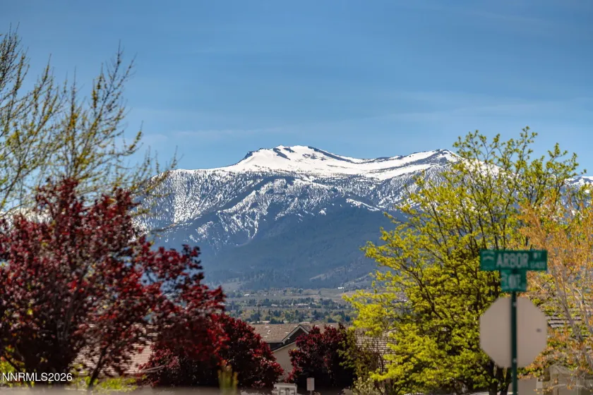 1315 Dalwood, Reno, Nevada 89521, 4 Bedrooms Bedrooms, ,2 BathroomsBathrooms,Residential,Residential,Dalwood,260004237