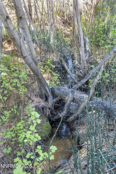 7655 Aspen Creek, Washoe Valley, Nevada 89704, 5 Bedrooms Bedrooms, ,4 BathroomsBathrooms,Residential,Residential,Aspen Creek,260004283