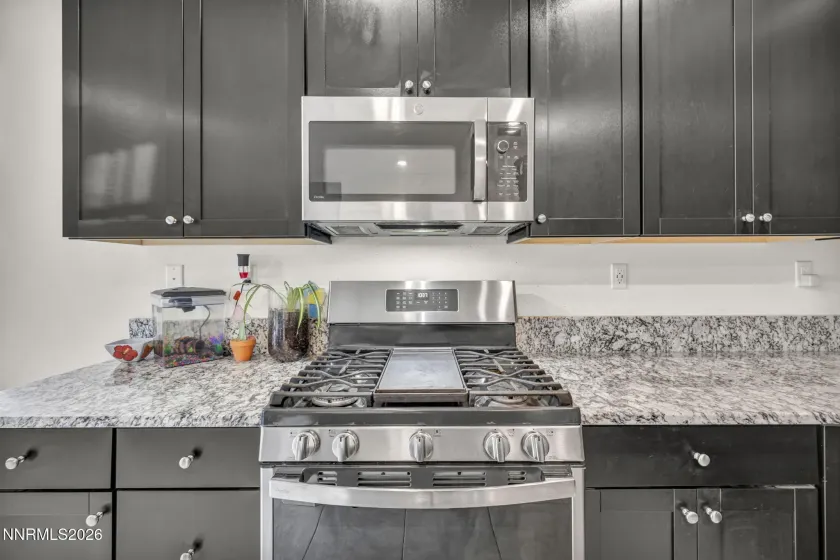 1151 Dapple, Minden, Nevada 89423, 3 Bedrooms Bedrooms, ,2 BathroomsBathrooms,Residential,Residential,Dapple,260004313