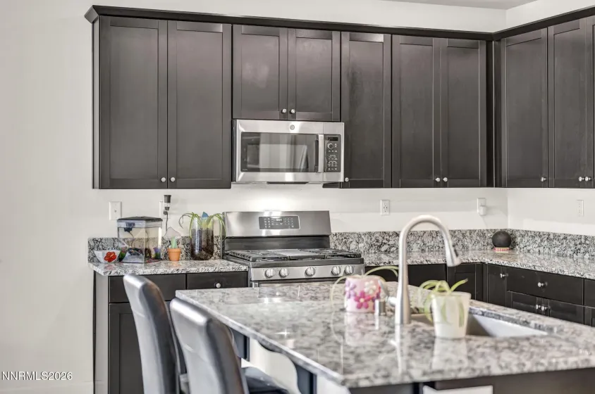 1151 Dapple, Minden, Nevada 89423, 3 Bedrooms Bedrooms, ,2 BathroomsBathrooms,Residential,Residential,Dapple,260004313