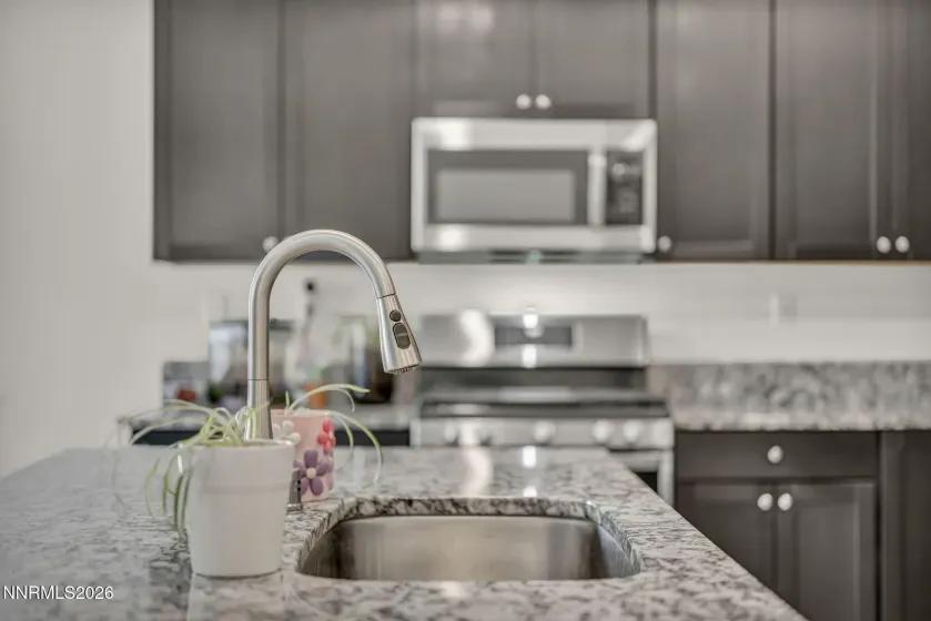 1151 Dapple, Minden, Nevada 89423, 3 Bedrooms Bedrooms, ,2 BathroomsBathrooms,Residential,Residential,Dapple,260004313