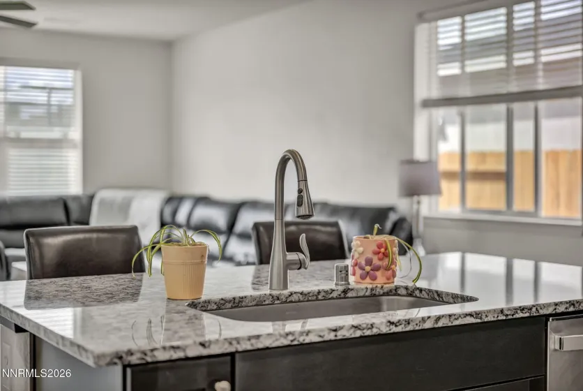 1151 Dapple, Minden, Nevada 89423, 3 Bedrooms Bedrooms, ,2 BathroomsBathrooms,Residential,Residential,Dapple,260004313