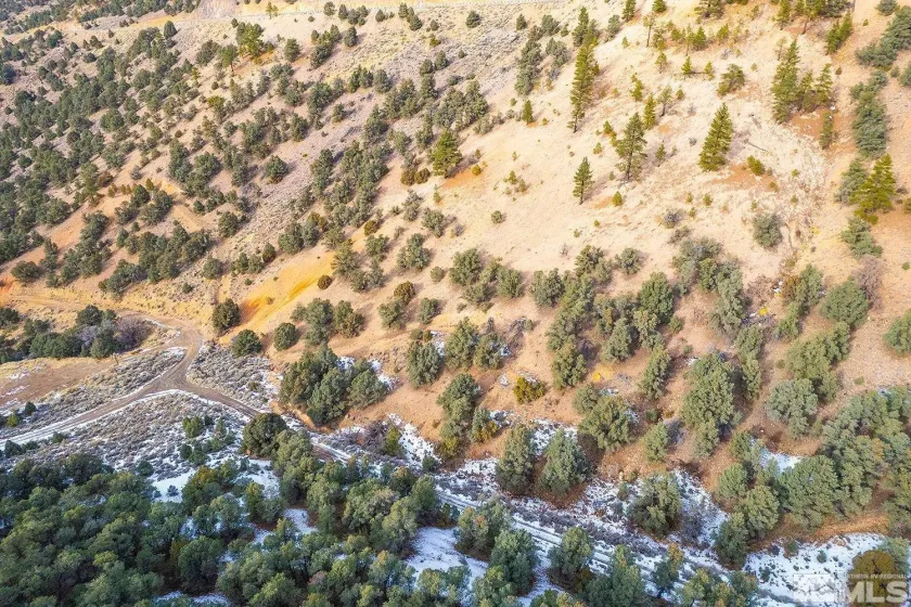 30 Toll, Reno, Nevada 89521, ,Land,Residential,Toll,260004363
