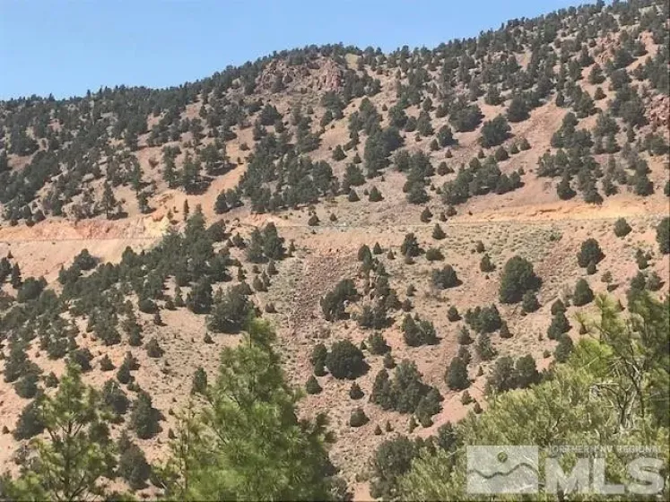 30 Toll, Reno, Nevada 89521, ,Land,Residential,Toll,260004363