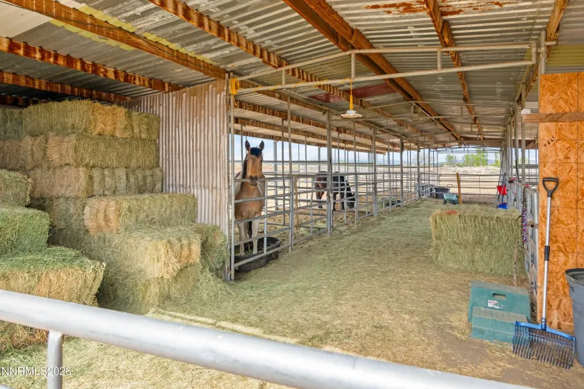 3717 Hillsboro, Fallon, Nevada 89406, 3 Bedrooms Bedrooms, ,2 BathroomsBathrooms,Residential,Residential,Hillsboro,260004372