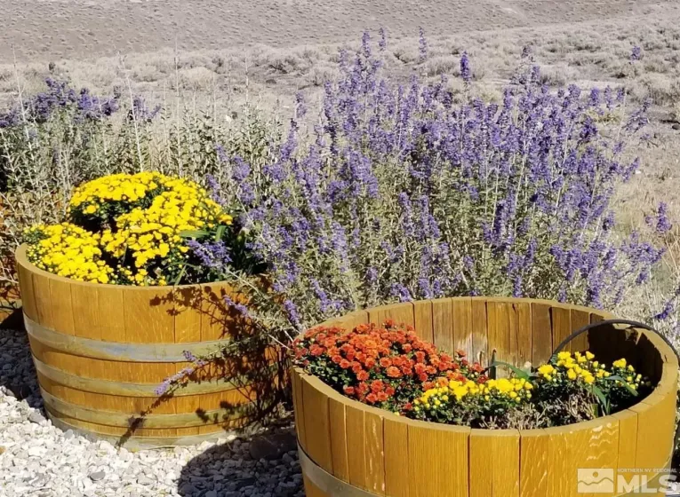 2330 Hillcrest, Fernley, Nevada 89408, 2 Bedrooms Bedrooms, ,3 BathroomsBathrooms,Residential,Residential,Hillcrest,250000577