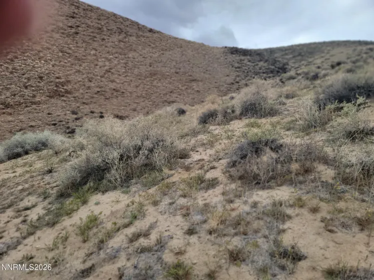 006-142-19 APN, Fallon, Nevada 89406, ,Land,Residential,APN,260004387