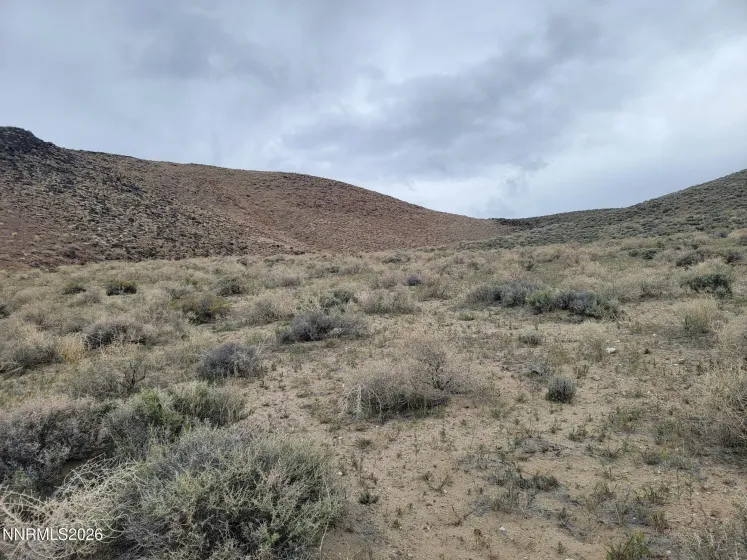 006-142-19 APN, Fallon, Nevada 89406, ,Land,Residential,APN,260004387