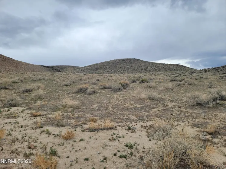 006-142-19 APN, Fallon, Nevada 89406, ,Land,Residential,APN,260004387