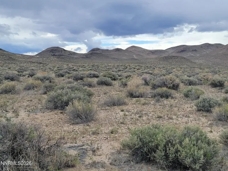 006-142-19 APN, Fallon, Nevada 89406, ,Land,Residential,APN,260004387