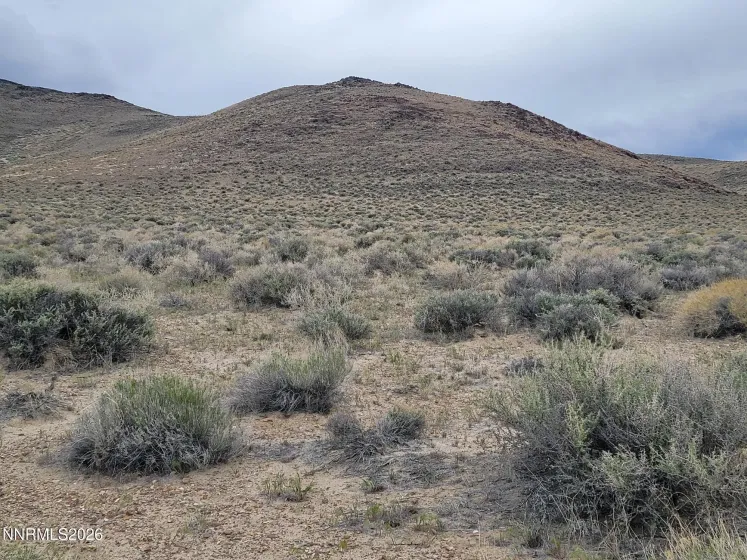 006-142-19 APN, Fallon, Nevada 89406, ,Land,Residential,APN,260004387