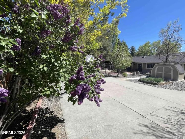 220 Lemming, Reno, Nevada 89523, 3 Bedrooms Bedrooms, ,2 BathroomsBathrooms,Residential,Residential,Lemming,260004388