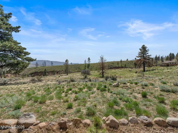 201 Argyle, Reno, Nevada 89511, 4 Bedrooms Bedrooms, ,5 BathroomsBathrooms,Residential,Residential,Argyle,260004467