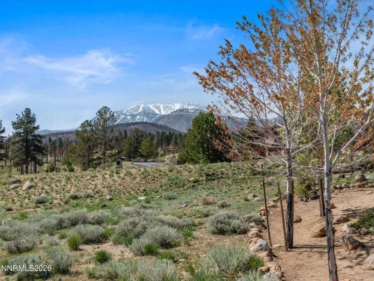 201 Argyle, Reno, Nevada 89511, 4 Bedrooms Bedrooms, ,5 BathroomsBathrooms,Residential,Residential,Argyle,260004467