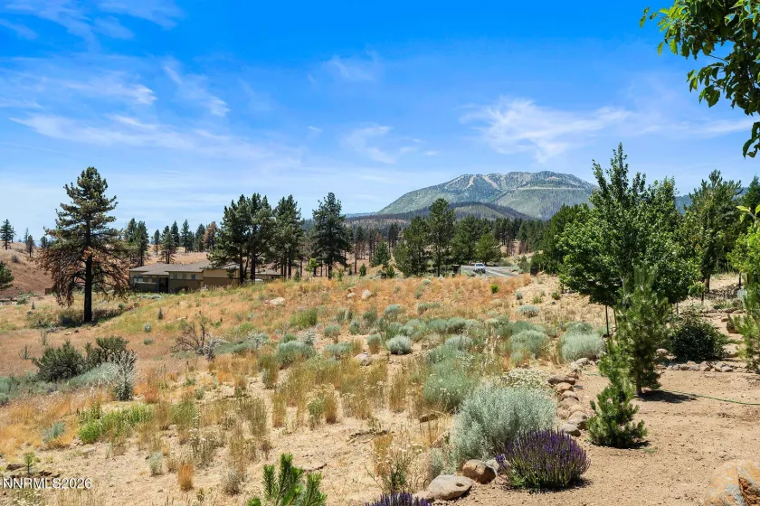 201 Argyle, Reno, Nevada 89511, 4 Bedrooms Bedrooms, ,5 BathroomsBathrooms,Residential,Residential,Argyle,0,260004467