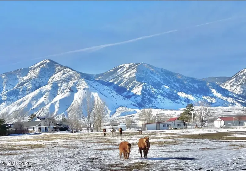 2801 Tamara, Minden, Nevada 89423, 9 Bedrooms Bedrooms, ,8 BathroomsBathrooms,Residential,Residential,Tamara,260004474