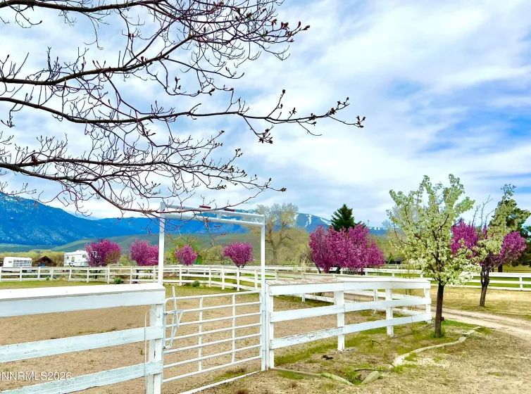 2801 Tamara, Minden, Nevada 89423, 9 Bedrooms Bedrooms, ,8 BathroomsBathrooms,Residential,Residential,Tamara,260004474