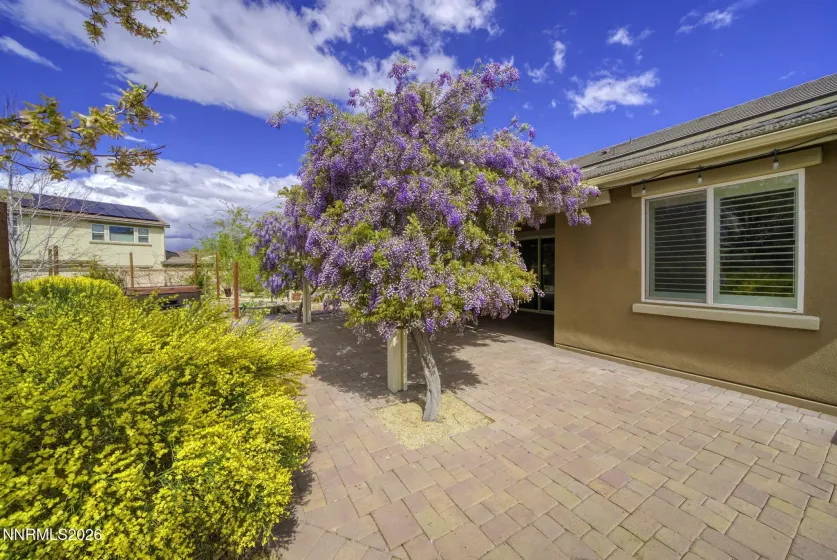 1875 Culiacan Pass, Reno, Nevada 89521, 4 Bedrooms Bedrooms, ,4 BathroomsBathrooms,Residential,Residential,Culiacan Pass,260004480