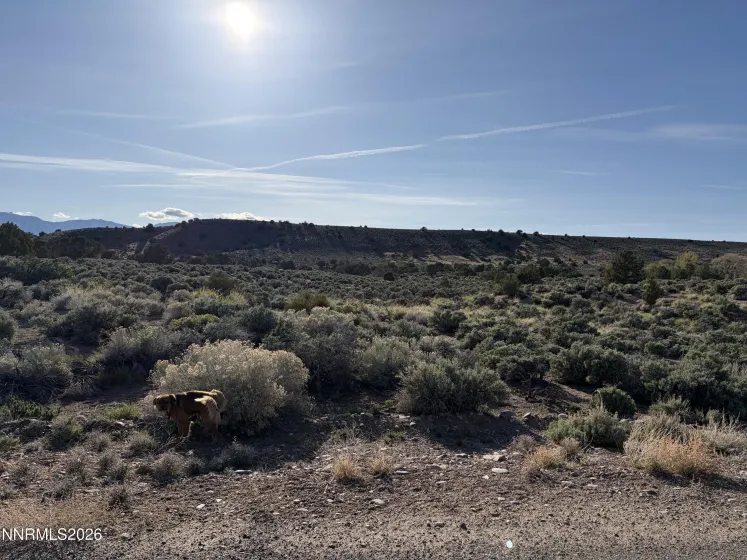 1648 Finch, Gardnerville, Nevada 89410, ,Land,Residential,Finch,260004485