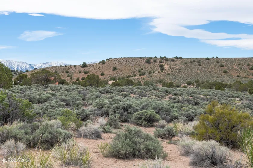 1648 Finch, Gardnerville, Nevada 89410, ,Land,Residential,Finch,260004485