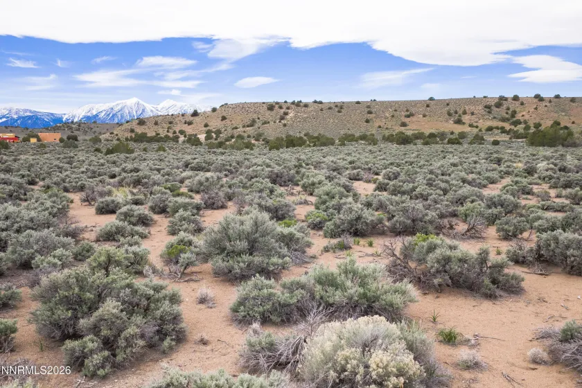 1648 Finch, Gardnerville, Nevada 89410, ,Land,Residential,Finch,260004485