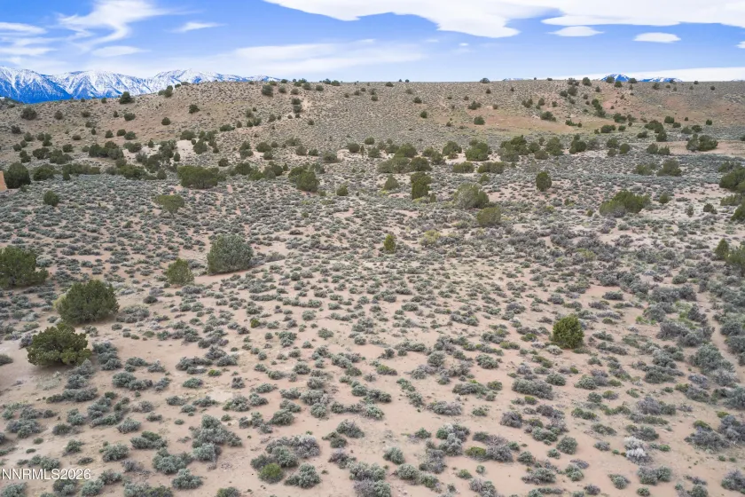 1648 Finch, Gardnerville, Nevada 89410, ,Land,Residential,Finch,260004485