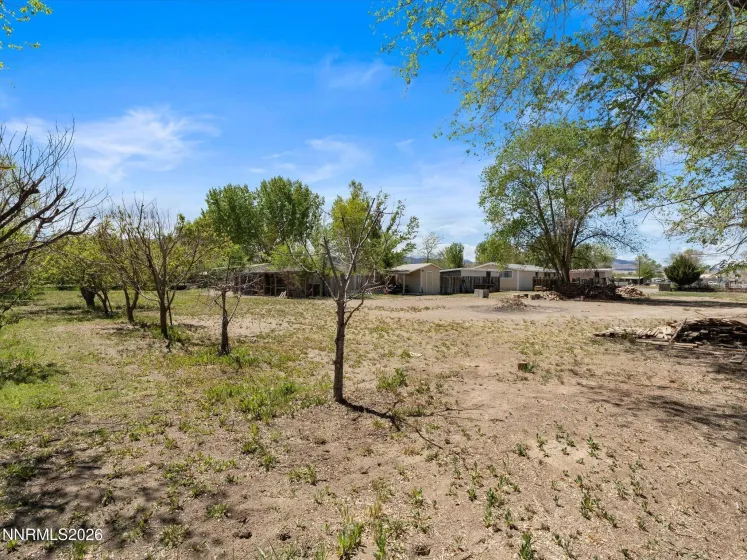 1185 Whipple Tree, Fernley, Nevada 89408, 2 Bedrooms Bedrooms, ,2 BathroomsBathrooms,Residential,Residential,Whipple Tree,260004493